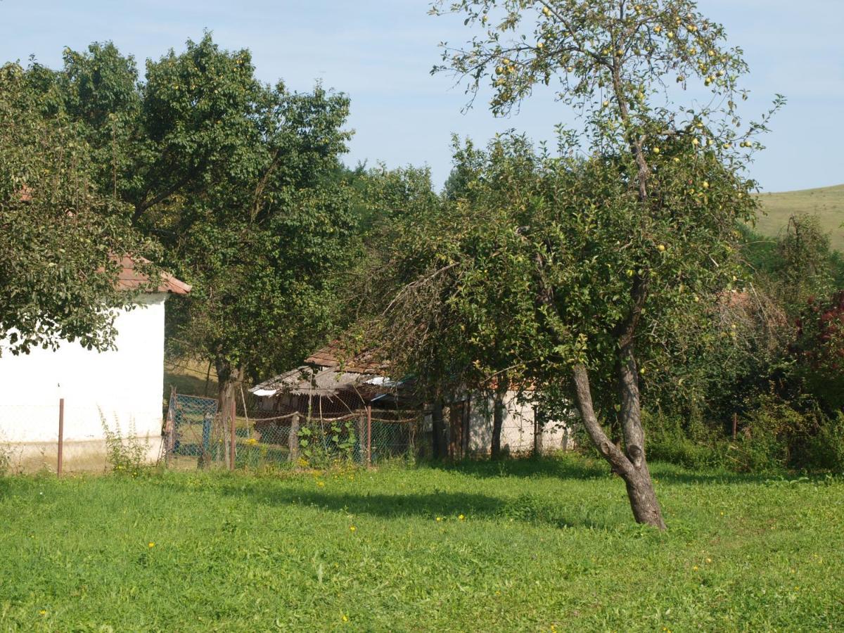 Villa Rozsa Haz Csernely Exterior foto